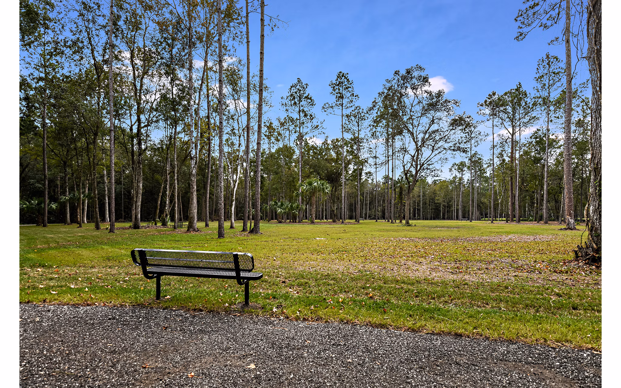 Relaxing courtyard with lush landscaping at Grand Cypress Apartments
