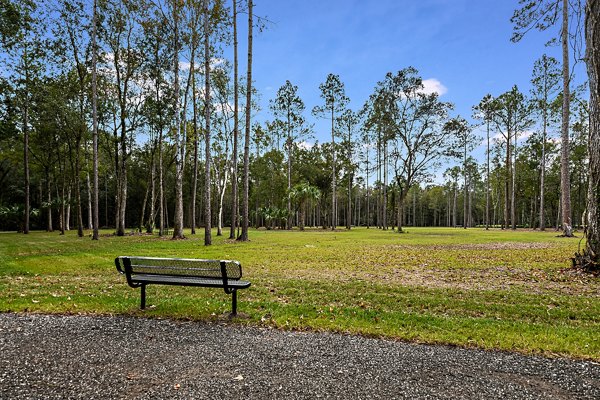 Relaxing courtyard with lush landscaping at Grand Cypress Apartments