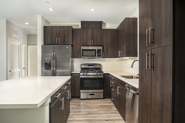 Modern kitchen with stainless steel appliances at Lakeview 88 Apartments