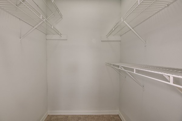 Spacious closet with modern shelving in Lake Pointe Apartments