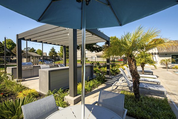 grill area at Windscape Village Apartments