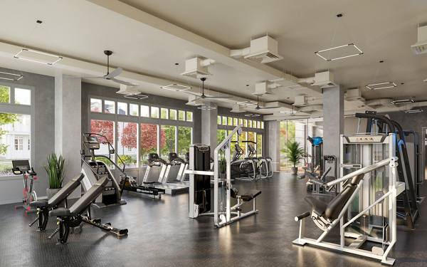 fitness center at The Penman Apartments