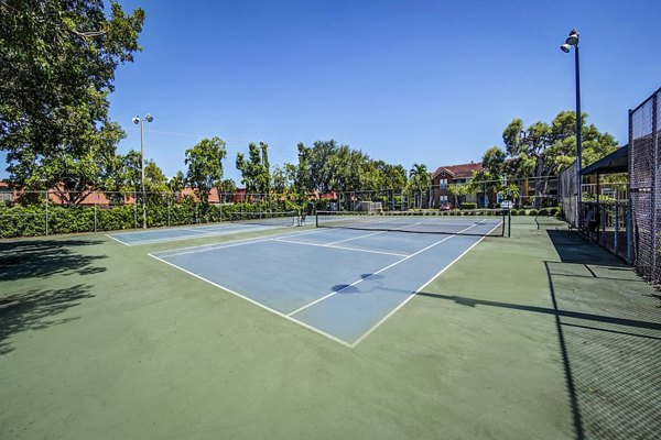 tennis court at Avana Palm Beach Gardens Apartments