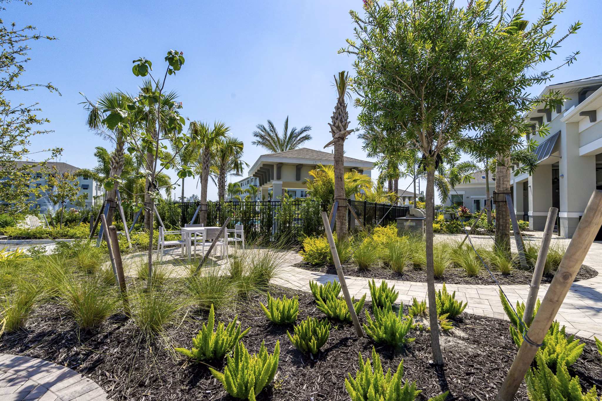 The Palms at Cape Coral: Tranquil courtyard with lush landscaping at luxury apartments
