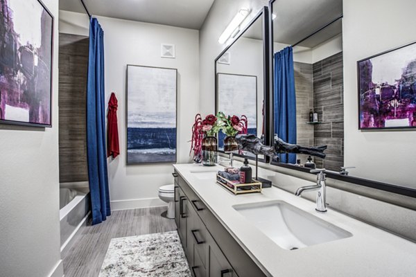 bathroom at Bluffs at Midway Hollow Apartments