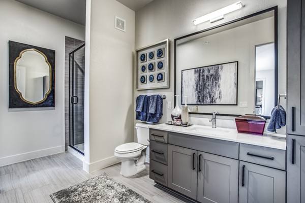 bathroom at Bluffs at Midway Hollow Apartments
