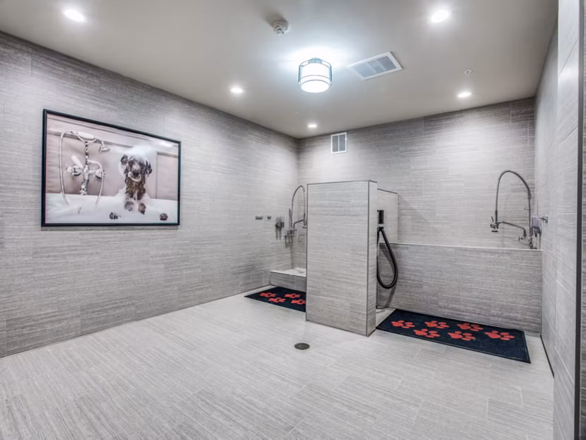 Dog wash station at Bluffs at Midway Hollow Apartments featuring convenient pet care facilities