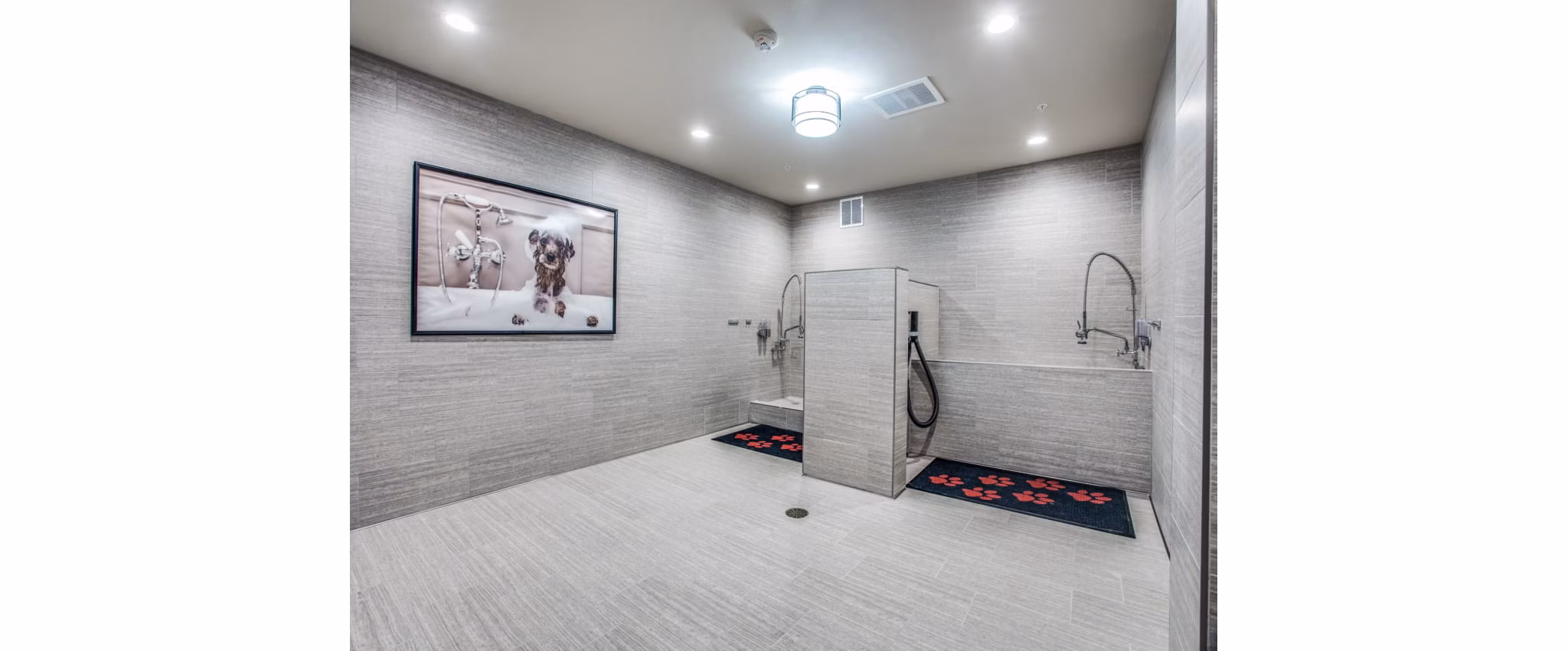 Dog wash station at Bluffs at Midway Hollow Apartments featuring convenient pet care facilities