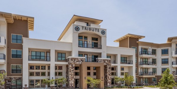 Tribute at the Rim: Contemporary of luxury apartments in a vibrant neighborhood