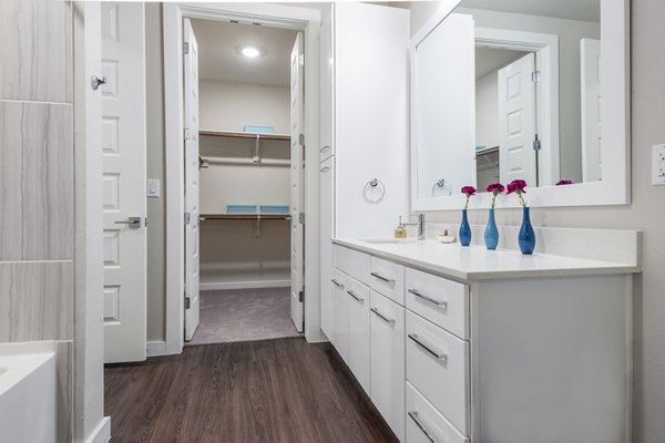 Elegant bathroom with modern fixtures at Tribute at the Rim Apartments