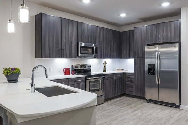 Modern kitchen featuring stainless steel appliances and granite countertops in Tribute at the Rim Apartments luxury community