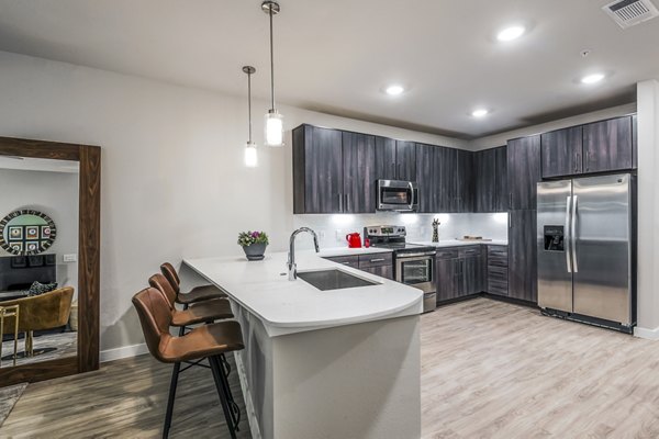 Modern kitchen with stainless steel appliances at Tribute at the Rim Apartments