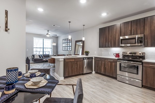 Modern kitchen with stainless steel appliances at Tribute at the Rim Apartments, ideal for luxury living in San Antonio