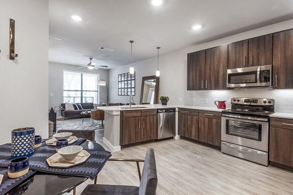 kitchen at Tribute at the Rim Apartments