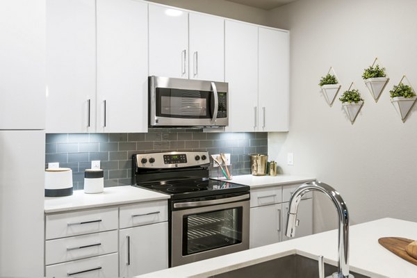 Modern kitchen with stainless steel appliances at Tribute at the Rim Apartments, San Antonio