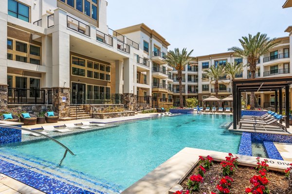Rooftop swimming pool with panoramic city views at Tribute at the Rim Apartments