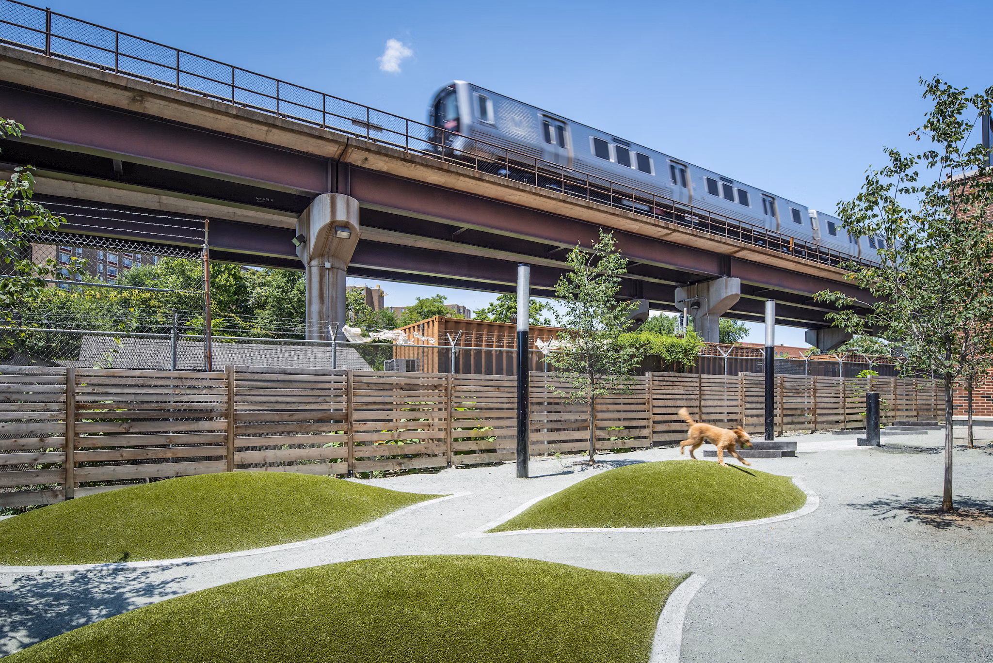 Spacious dog park with agility equipment at Brookland Press Apartments, ideal for pet-friendly living