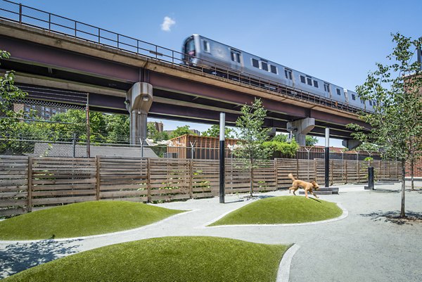 Spacious dog park with agility equipment at Brookland Press Apartments, ideal for pet-friendly living