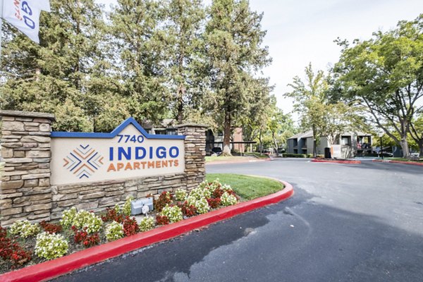 Avana Vista Point Apartments signage against a clear sky