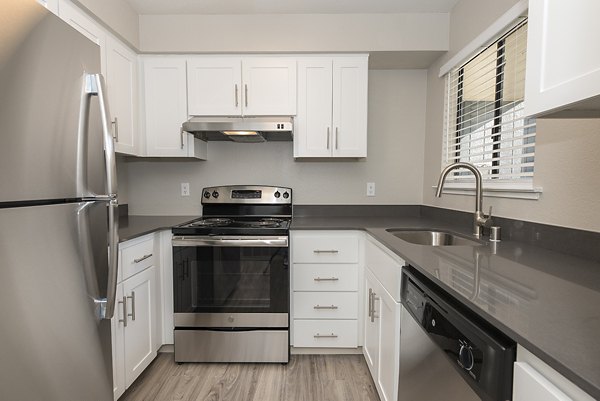 kitchen at Avana Vista Point Apartments