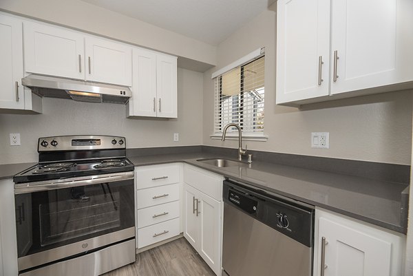 Modern kitchen featuring sleek countertops and stainless steel appliances at Avana Vista Point Apartments