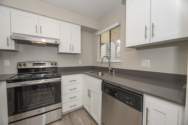 kitchen at Avana Vista Point Apartments