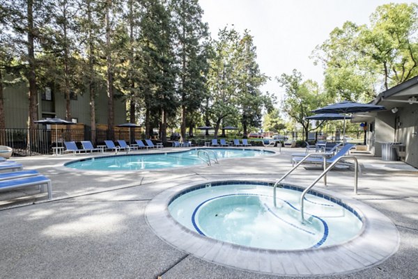 Relaxing poolside oasis with modern design at Avana Vista Point Apartments
