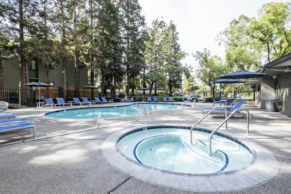 pool at Avana Vista Point Apartments