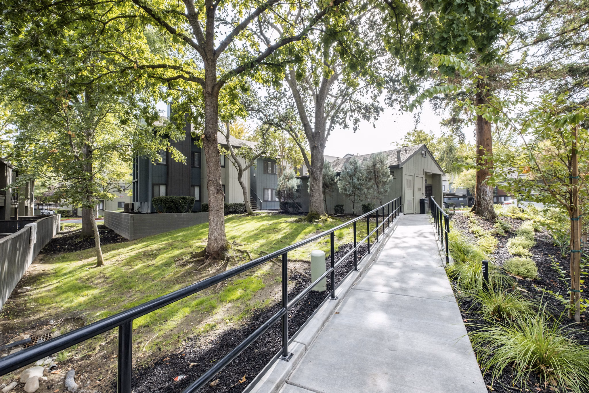 Avana Vista Point: Lush courtyard with seating and landscaping at luxury apartments