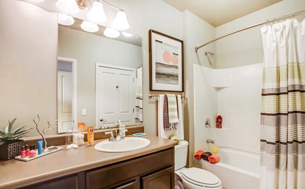 Luxurious bathroom with modern fixtures at The Langston Apartments in the heart of Cleveland, OH, capturing elegance and style for Greystar luxury living