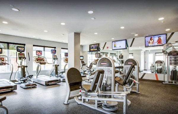 State-of-the-art fitness center with modern equipment at The Langston Apartments luxury complex