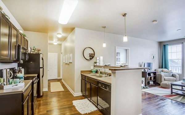 Spacious kitchen with modern appliances in The Langston Apartments, luxury living at Greystar's premier community