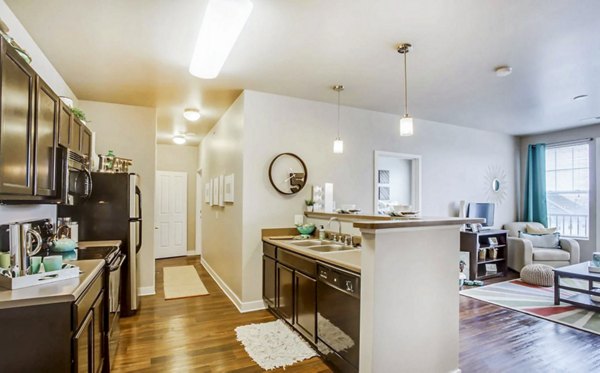 kitchen at The Langston Apartments