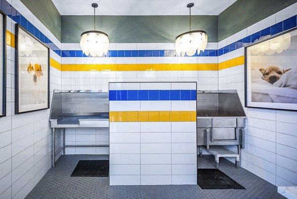 Dog wash station with modern amenities at Broadstone North Ridge Apartments