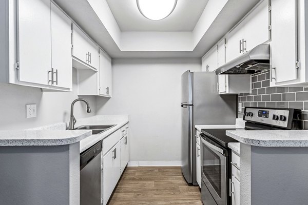 Modern kitchen featuring sleek cabinetry and stainless steel appliances in Villatree Apartments