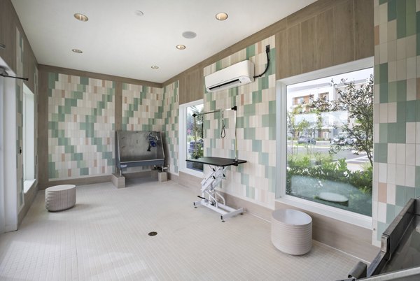 Modern dog wash station at Lynwind Apartments, featuring easy-access tubs and grooming tools for pet care convenience