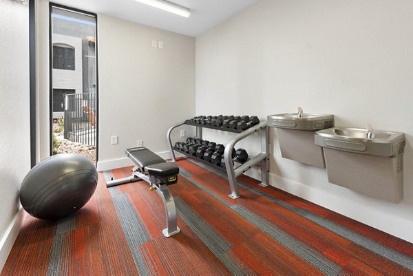State-of-the-art fitness center with modern equipment at Verve Apartments, ideal for luxury urban living
