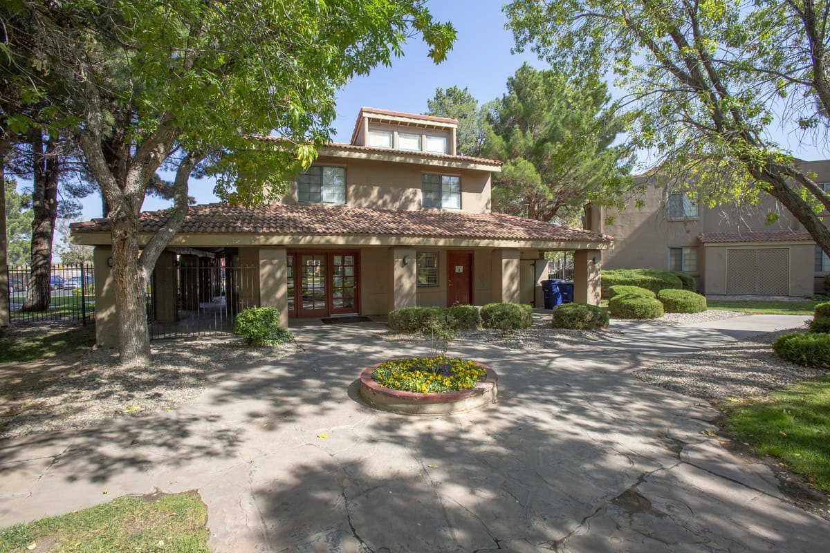 Cinnamon Tree in Albuquerque Greystar