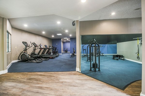 Fully-equipped fitness center at Cinnamon Tree Apartments with modern gym facilities for active lifestyles