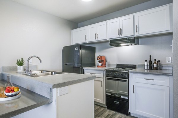 Modern kitchen with stainless steel appliances at Cinnamon Tree Apartments