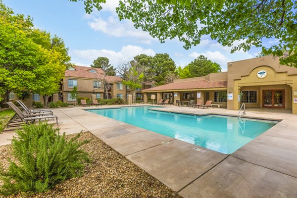 Relaxing poolside area at Cinnamon Tree Apartments featuring sun loungers and lush greenery