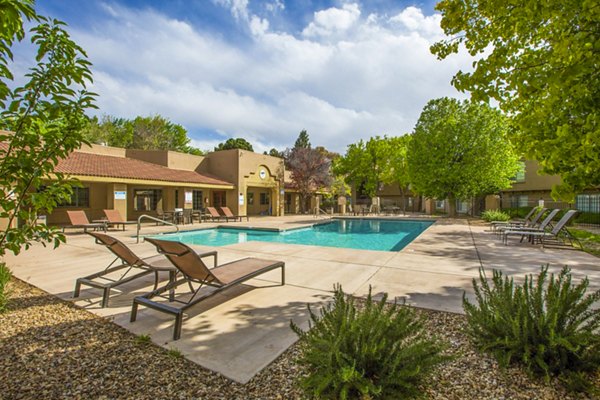 Inviting pool with lounge chairs at Cinnamon Tree Apartments offering luxury amenities for relaxation and social gatherings