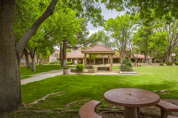 Cinnamon Tree Apartments: Lush courtyard with modern seating and landscaping, providing a relaxing outdoor space for residents