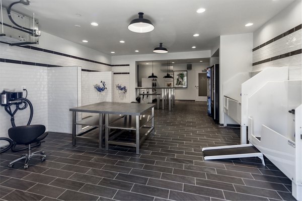 Convenient dog wash station in impressive Maybrook Apartments for pet-friendly living