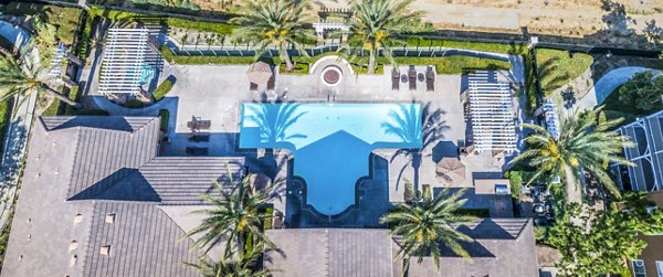 Resort-style pool at The Village on 5th Apartments with modern loungers and palm tree landscaping