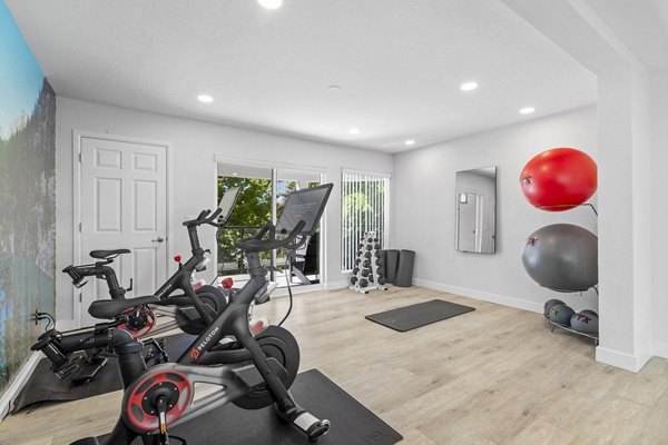 Modern fitness center with state-of-the-art equipment at Lakeview at Newcastle Apartments
