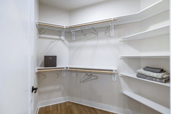 Bedroom closet with ample storage at Elan Harvest Green Apartments in luxury setting
