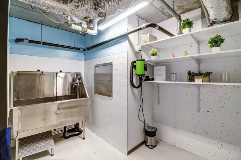 Convenient dog wash station at Radian Apartments offering pet-friendly amenities