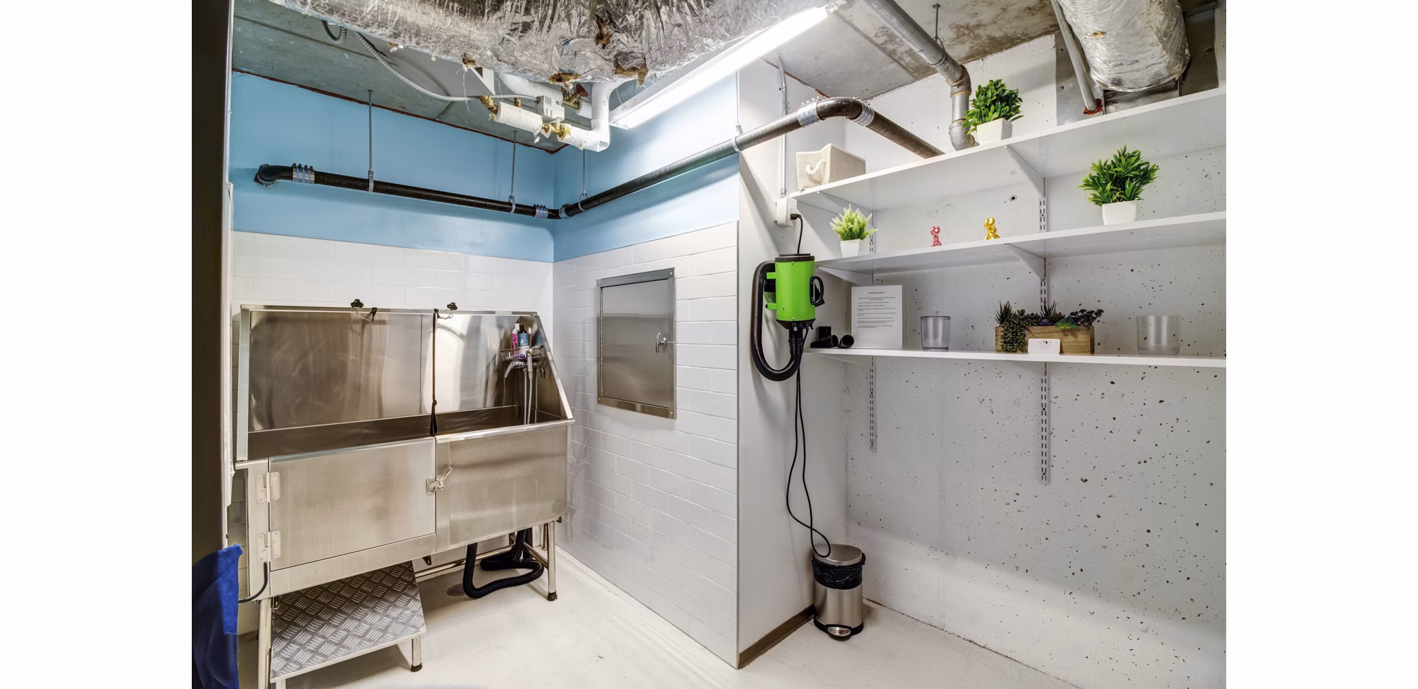 Convenient dog wash station at Radian Apartments offering pet-friendly amenities