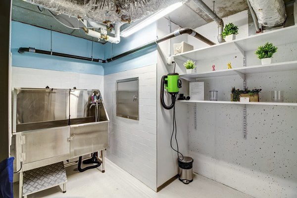 Convenient dog wash station at Radian Apartments offering pet-friendly amenities